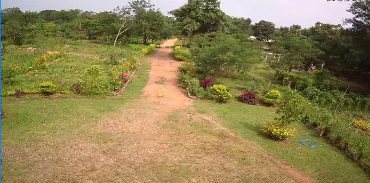 Peacock Resort Anuradhapura Esterno foto