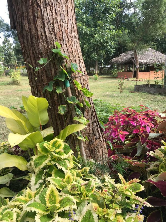 Peacock Resort Anuradhapura Esterno foto