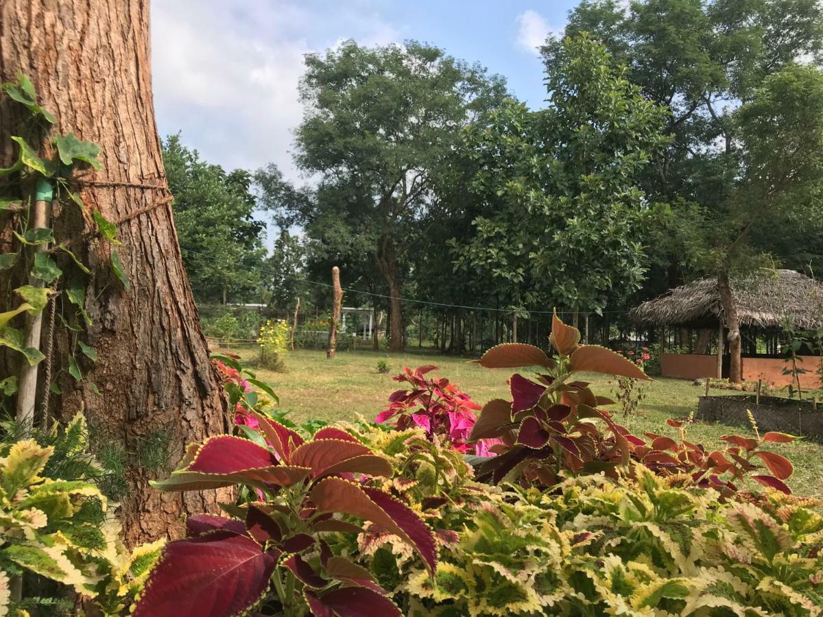 Peacock Resort Anuradhapura Esterno foto