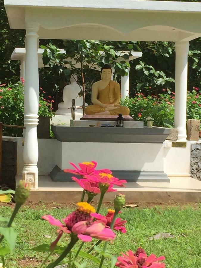 Peacock Resort Anuradhapura Esterno foto
