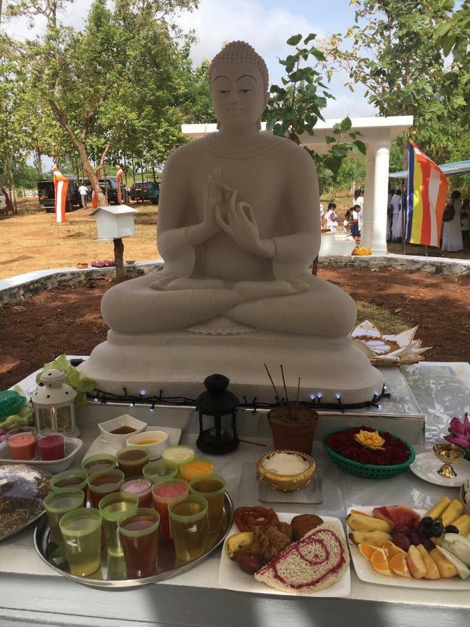 Peacock Resort Anuradhapura Esterno foto